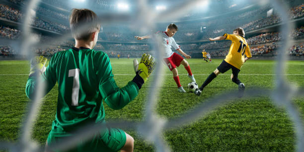 防守稳健的 防守稳健的